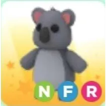 Pet | Koala NFR