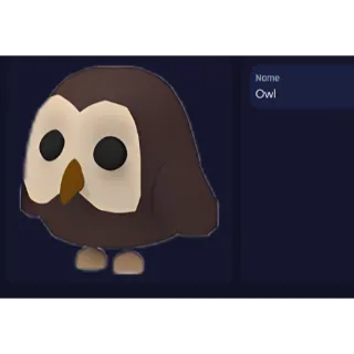 Owl FR