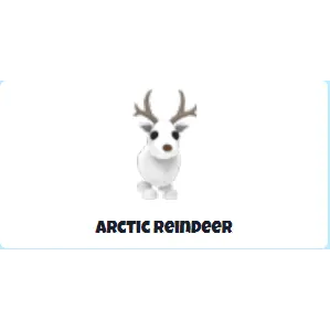 Arctic Reindeer R