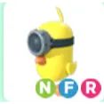 ZODIAC MINION CHICK nfr