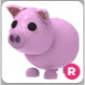 pig R