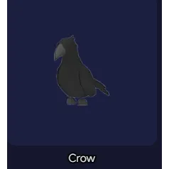 Crow NFR