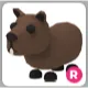 capybara R