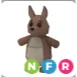 kangaroo NFR