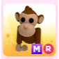 Monkey MR