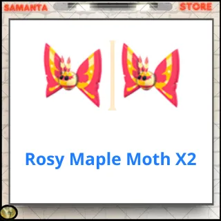 Rosy Maple Moth X2