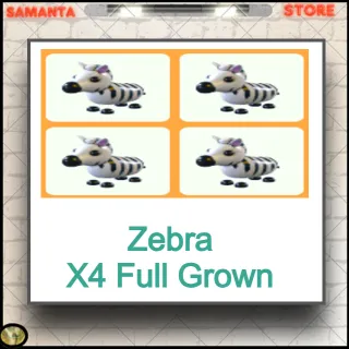 Zebra X4 Full Grown