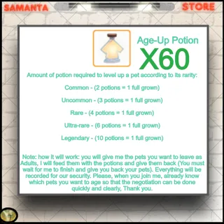 Age-Up Potion X60