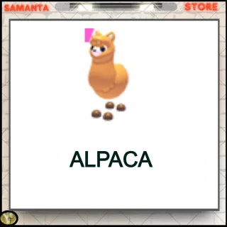 Alpaca