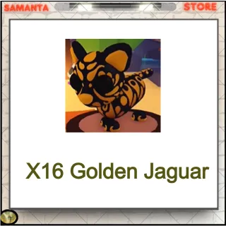  X16 Golden Jaguar