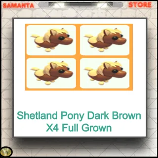 Shetland Pony Dark Brown X4 Full Gro