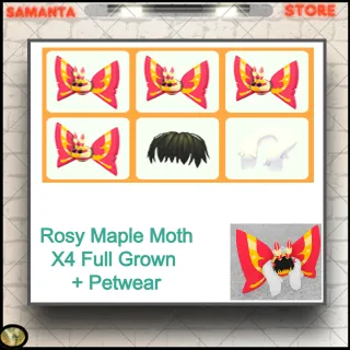 Rosy Maple Moth X4 Full Grown + Petw