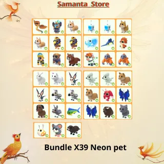 Bundle X39 Neon pet