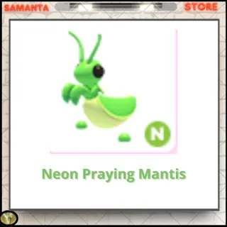 Neon Praying Mantis