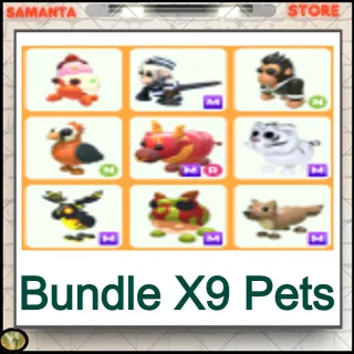 Bundle X9 Pets