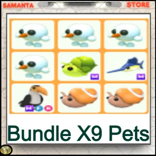 Bundle X9 Pets