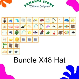 Bundle X48 Hat
