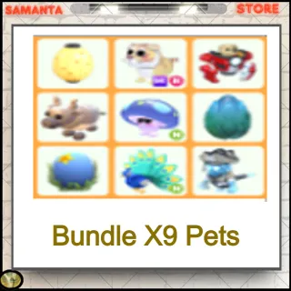 Bundle X9 Pets