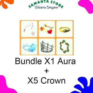 Bundle X1 Aura + X5 Crown