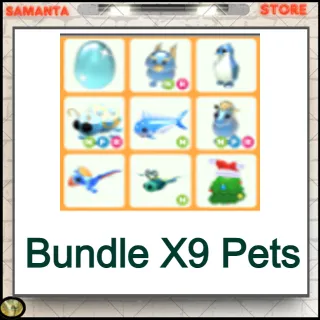 Bundle X9 Pets