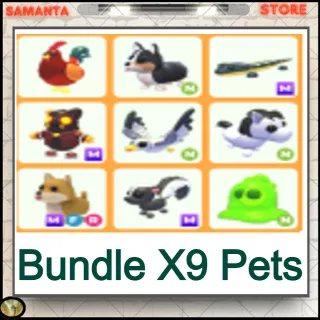 Bundle X9 Pets