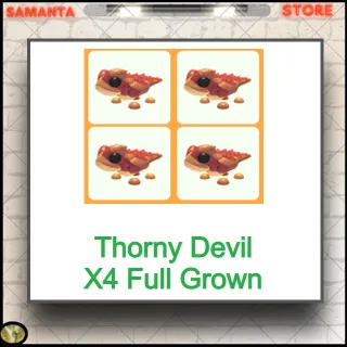 Thorny Devil X4 Full Grown