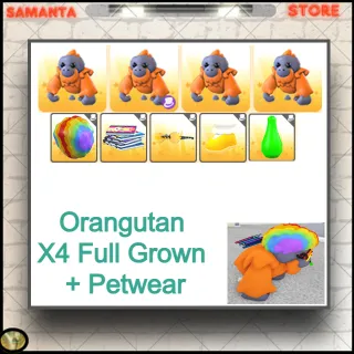 Orangutan  X4 Full Grown + Petwear