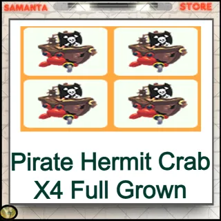 Pirate Hermit Crab X4 Full Grown