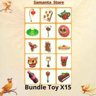 Bundle Toy X15