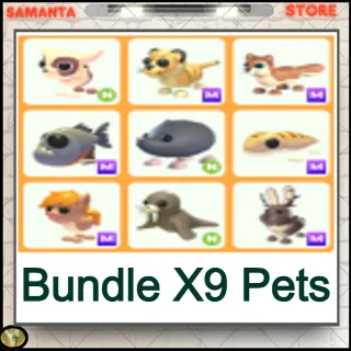 Bundle X9 Pets