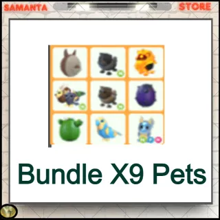 Bundle X9 pets