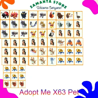 Adopt Me X63 Pet