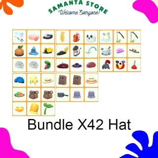 Bundle X42 Hat