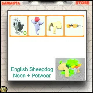 English Sheepdog Neon + PetWear