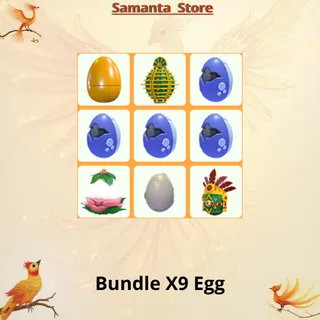 Bundle X9 Egg