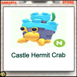 Castle Hermit Crab Neon