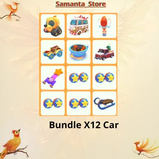Bundle X12 Car