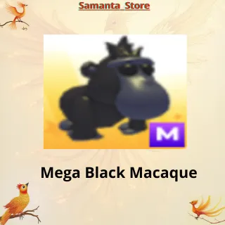 Mega Black Macaque