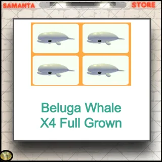 Beluga Whale X4 Full Grown