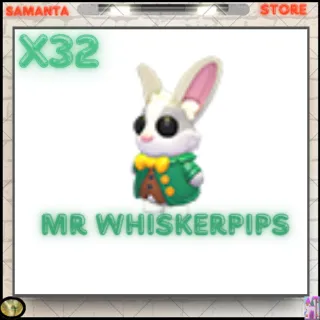  Mr whiskerpips  X32