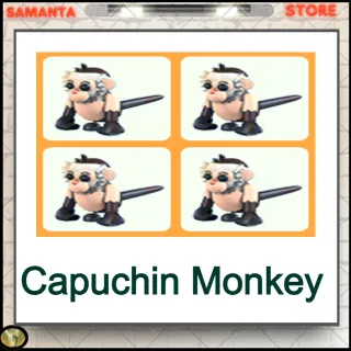 Capuchin Monkey