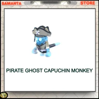 Pirate Ghost Capuchin Monkey