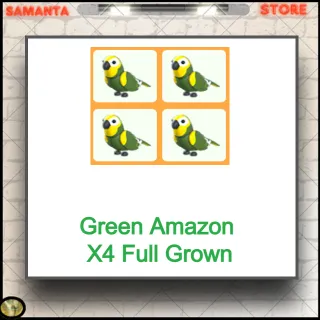 Green Amazon  X4 Full Grown