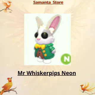 Mr Whiskerpips Neon 