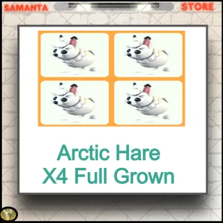 Arctic Hare X4 Full Grown