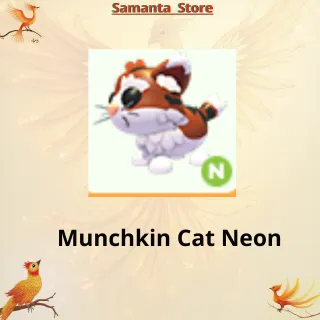 Munchkin Cat Neon