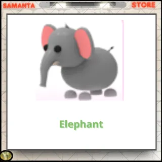 Elephant