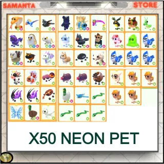 Bundle X50 NEON PET