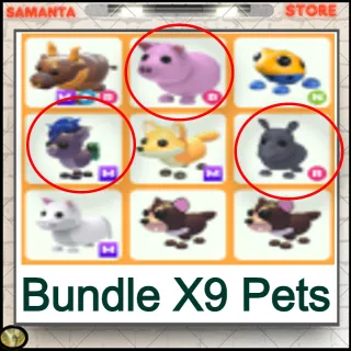 Bundle X9 Pets