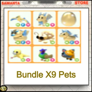 Bundle X9 Pets